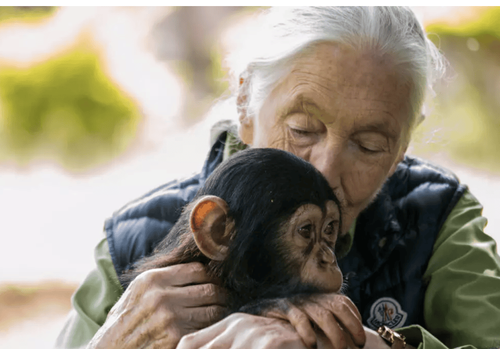 91岁传奇女科学家去世:没学士学位的剑桥博士,科学发现颠覆人类认知,每年300天全球演讲