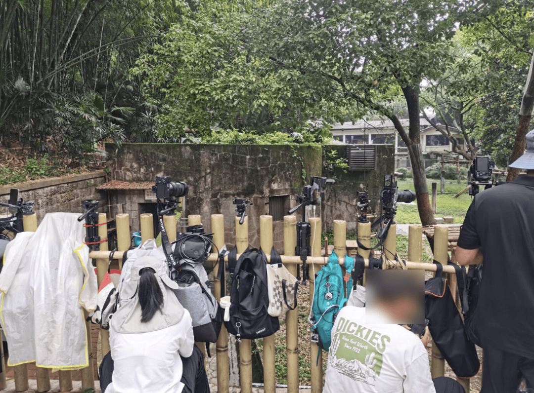 “室友天天在宿舍直播”，这届大学生的隐私无处可藏