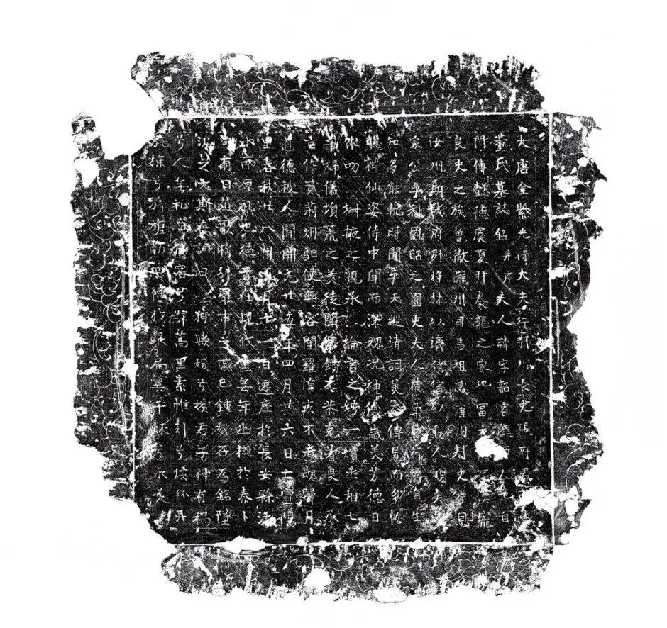 最新公布！陕西发现唐朝名相张九龄夫人墓