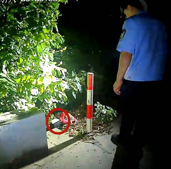 浙江一姑娘以奶茶为记号,竟然在草丛里藏了11万现金!