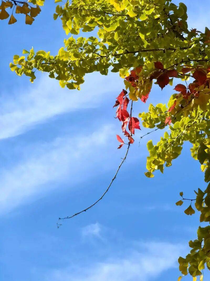 本周气温虽有起伏，但整体寒意持续加码