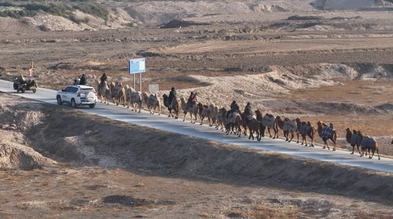 新疆20多人骑骆驼去洛阳，领队曾是当地网红文旅局长，已走60多天，曾遇12级大风