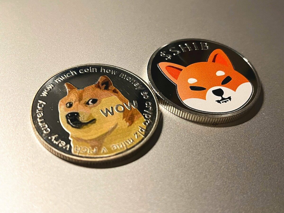DOGE币(虚拟币交易哪个平台好)